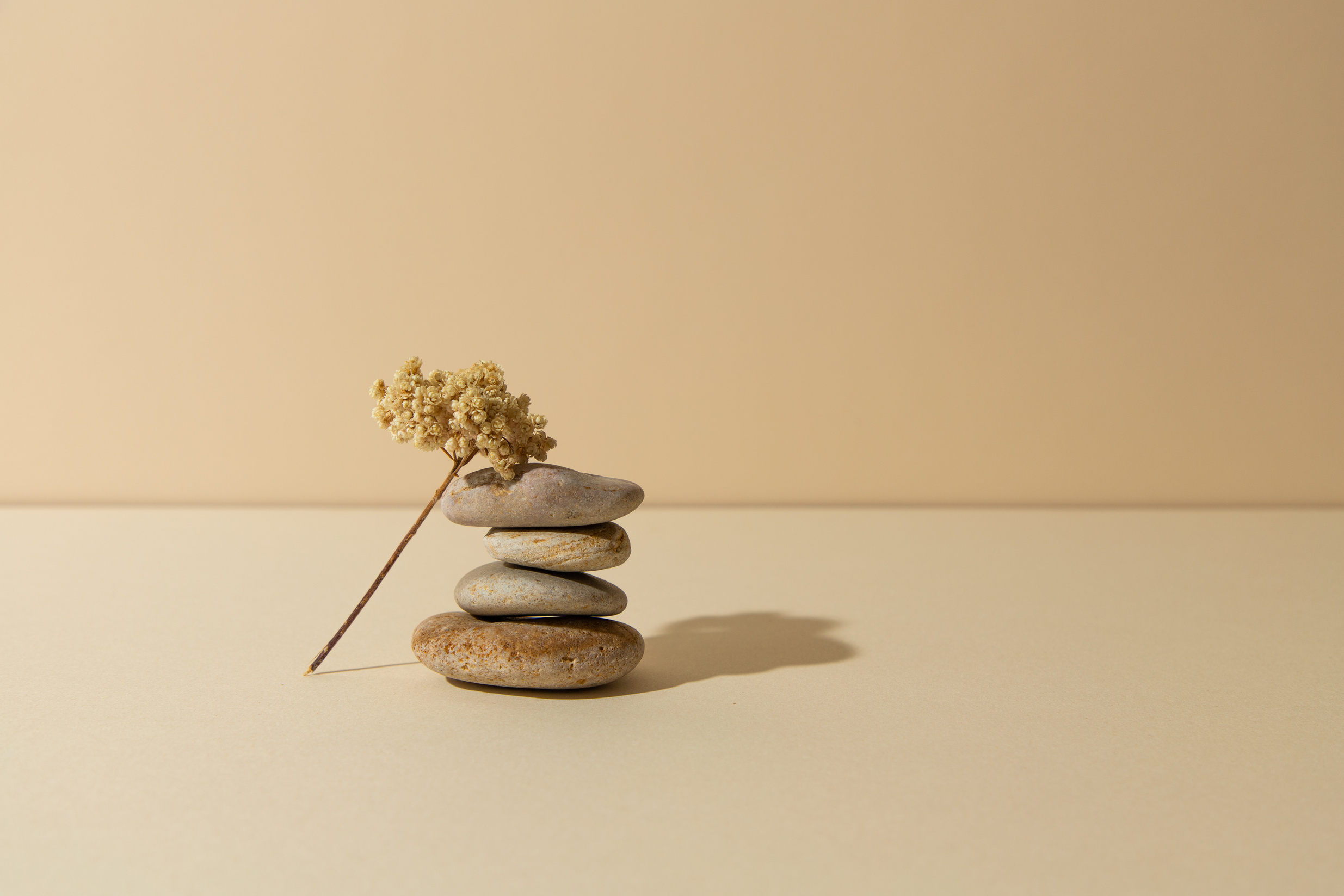 Dried Flowers and Stack of Stones